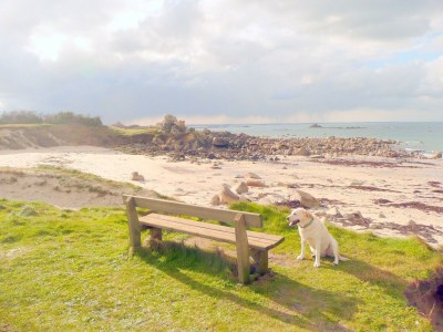 Holiday house Holiday Home by Roscoff Beach and Horse Racing - Environment photo 34