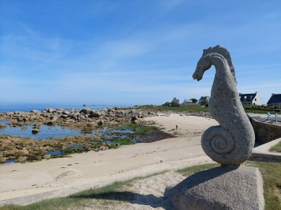 Holiday house Holiday Home by Roscoff Beach and Horse Racing - Environment photo 38