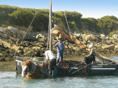 Holiday house Steinhaus in der Bretagne am Meer - Environment photo 31
