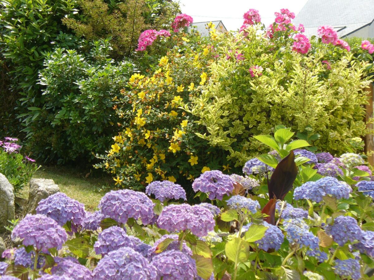 Holiday house Ferienhaus in Plouarzel am Sandstrand - Outdoor photo 4