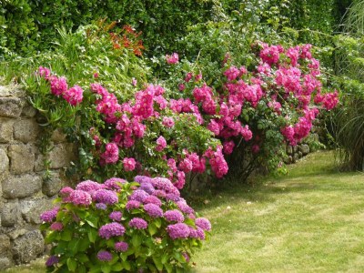 Holiday house Ferienhaus in Plouarzel am Sandstrand - Outdoor photo 3
