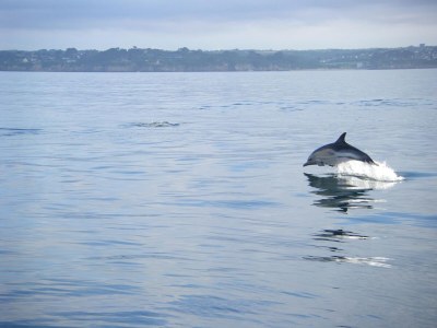 Holiday house Ferienhaus in Plouarzel am Sandstrand - Environment photo 23
