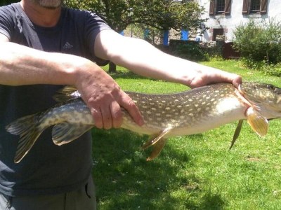 Holiday house Holiday Home in Guerlesquin near Lake - Environment photo 19