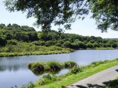 Holiday house Holiday Home in Guerlesquin near Lake - Environment photo 22