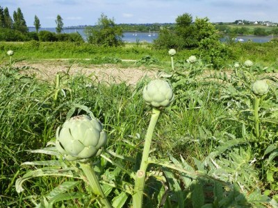 Holiday house Holiday Home in Guerlesquin near Lake - Environment photo 23