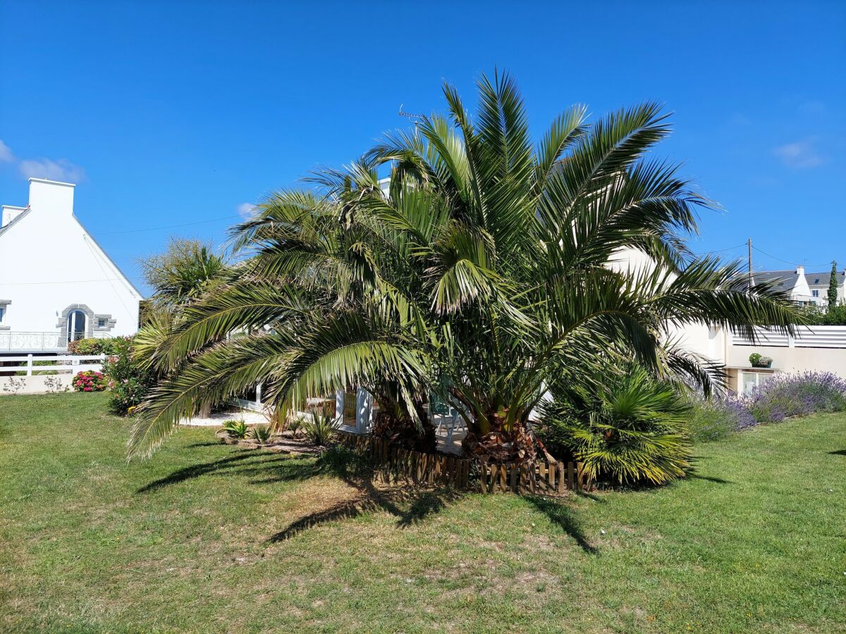 Holiday house Ferienhaus in Plouhinec an der Bucht Audierne - Outdoor photo 5