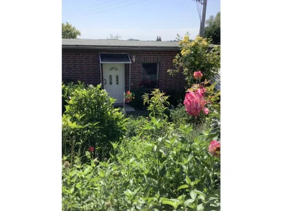 Holiday house Wiesengrün in Rügeband - Holiday house