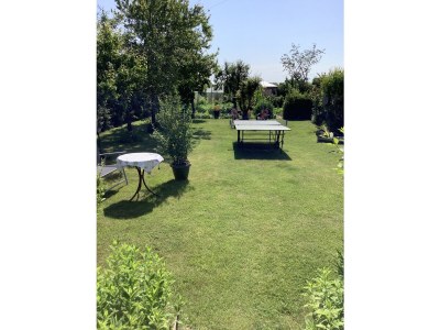 Holiday house Wiesengrün - Outdoor photo 9