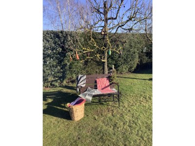 Holiday house Wiesengrün - Outdoor photo 10