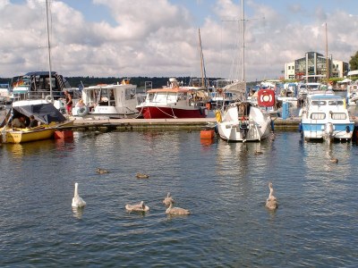 Holiday house Wiesengrün - Environment photo 23