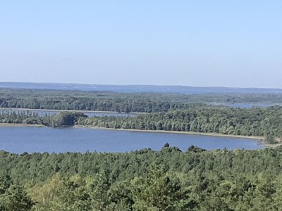 Holiday house Wiesengrün - Environment photo 31