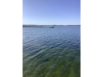 Holiday house Wiesengrün - Environment photo 34