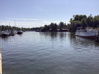 Holiday house Wiesengrün - Environment photo 35