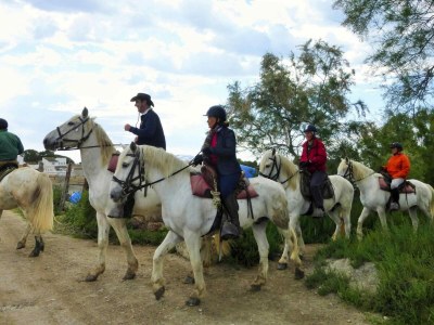 Holiday house Cottage in Bellegarde near Camargue Reserve - Environment photo 27