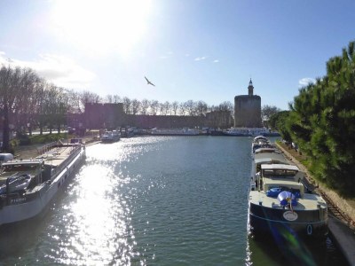 Holiday house Cottage in Bellegarde near Camargue Reserve - Environment photo 29