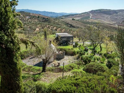 Holiday house Pool Getaway Near Antequera - Outdoor photo 8