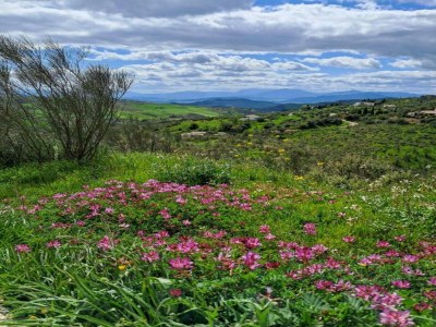 Holiday house Hütte in La Joya mit Pool und Garten - Environment photo 30