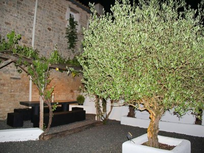 Holiday house Holiday Home in Charente with Pool - Outdoor photo 13