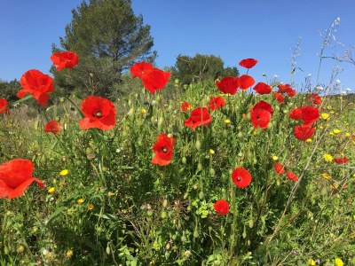 Villa Ruhige Villa mit Pool - Environment photo 26
