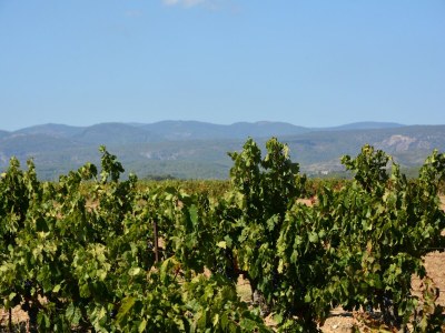 Villa Ruhige Villa mit Pool - Environment photo 27