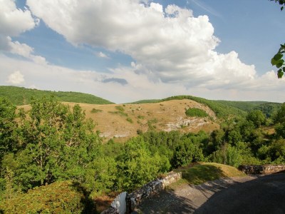 Holiday house Lakeside Cottage Roziers Retreat - Environment photo 24