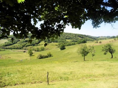 Holiday house Lakeside Cottage Roziers Retreat - Environment photo 30