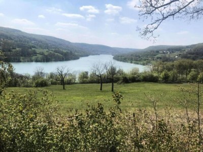 Holiday house Lakeside Cottage Roziers Retreat - Environment photo 33