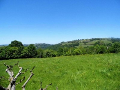 Holiday house Lakeside Cottage Roziers Retreat - Environment photo 34