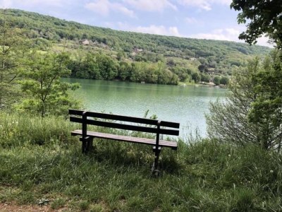 Holiday house Lakeside Cottage Roziers Retreat - Environment photo 35