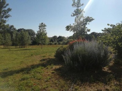 Holiday house Olonzac Escape: Pool & Charm - Environment photo 33