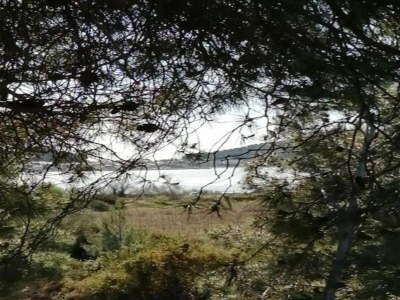 Holiday house Olonzac Escape: Pool & Charm - Environment photo 36