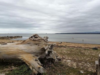 Holiday house Olonzac Escape: Pool & Charm - Environment photo 37