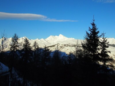 Chalet Chalet in Vallandry near Paradiski Ski Area - Environment photo 30