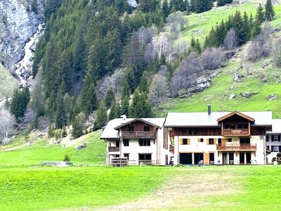 Chalet Alpenchalet mit Spa und Haustieren - Outdoor photo 4