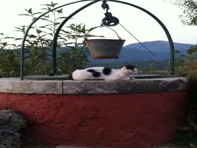 Apartment Apartment with Pool & Near Sea - Outdoor photo 39