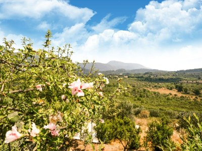 Apartment Apartment in Paleokastrites with Pool - Outdoor photo 9