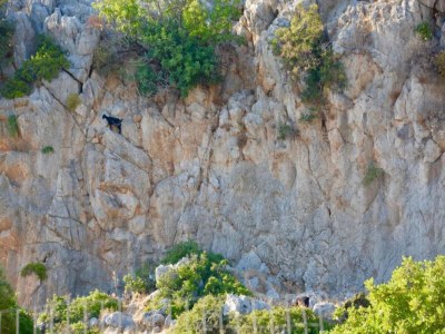 Villa Villa in Rhodes with Infinity Pool - Environment photo 33
