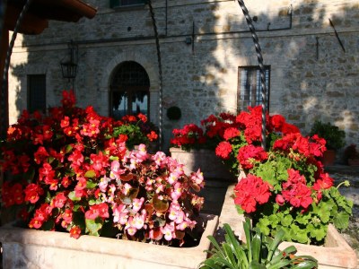 Farmhouse Farmhouse in Gualdo near Lake Trasimeno - Outdoor photo 38