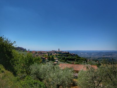 Farmhouse Farmhouse with Pool – Pets Welcome! - Environment photo 30