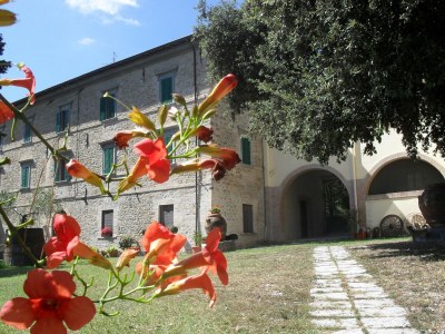 Farmhouse Bauernhaus in Umbrien am Trasimeno-See - Outdoor photo 13