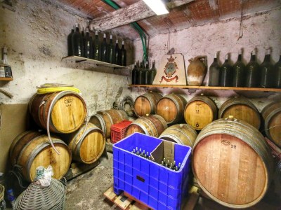 Farmhouse Bauernhaus in Umbrien am Trasimeno-See - Outdoor photo 37