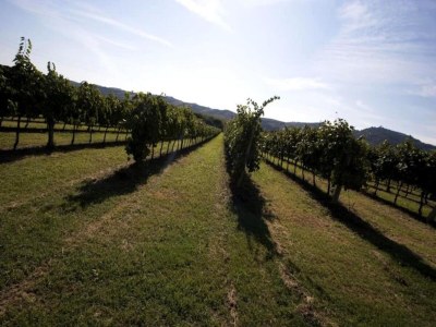 Apartment Apartment im Herzen der Emilia-Romagna - Environment photo 33