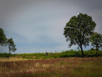 Apartment Apartment im Herzen der Emilia-Romagna - Environment photo 34