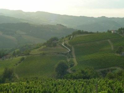 Apartment Apartment im Herzen der Emilia-Romagna - Environment photo 35