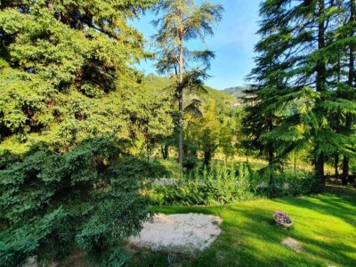 Apartment Apartment im Herzen der Emilia-Romagna - Environment photo 36