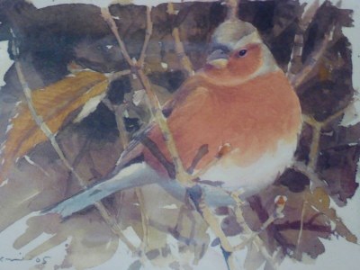 Holiday house Holiday Home in Montecarelli with Pool - Outdoor photo 24