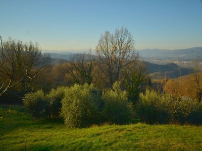 Holiday house Bauernhaus in Mugello mit Talblick - Outdoor photo 8