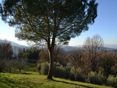 Holiday house Bauernhaus in Mugello mit Talblick - Outdoor photo 9