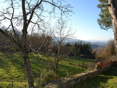 Holiday house Bauernhaus in Mugello mit Talblick - Outdoor photo 15