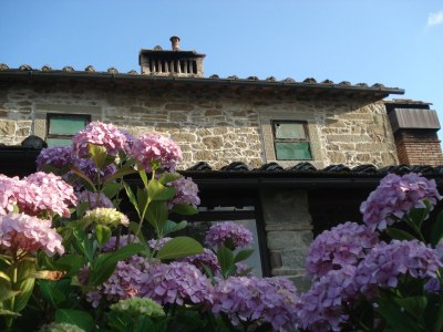 Holiday house Bauernhaus in Mugello mit Talblick - Outdoor photo 27